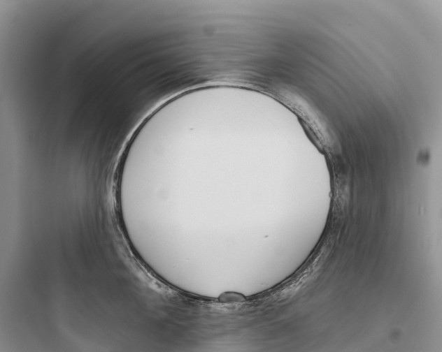 X0000097590908200803211633