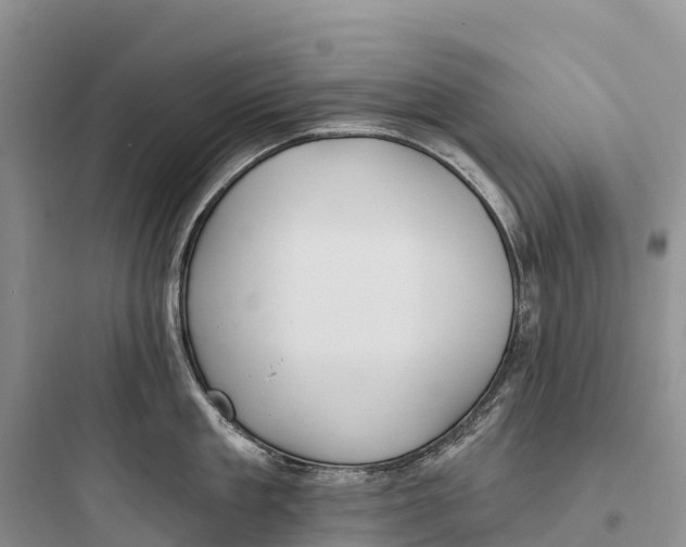 X0000097590909200803211633