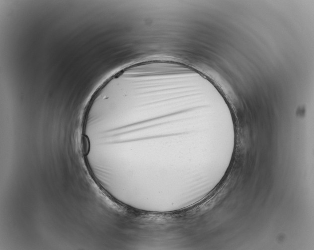 X0000097590910200803211633