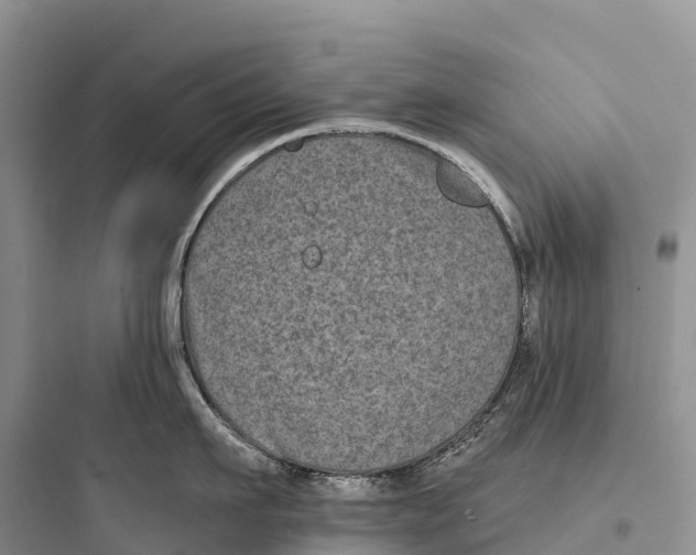 X0000097590911200803211633