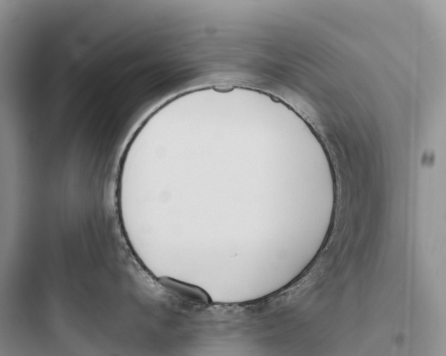 X0000097590912200803211633