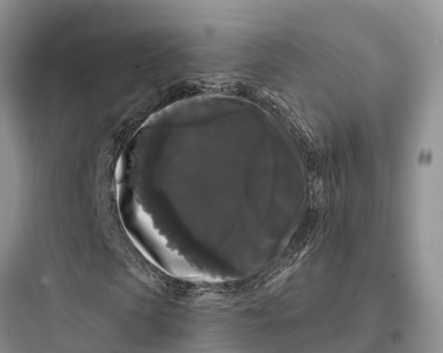 X0000097590913200803211633