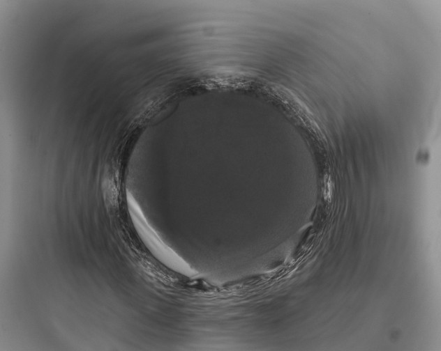 X0000097590915200803211633