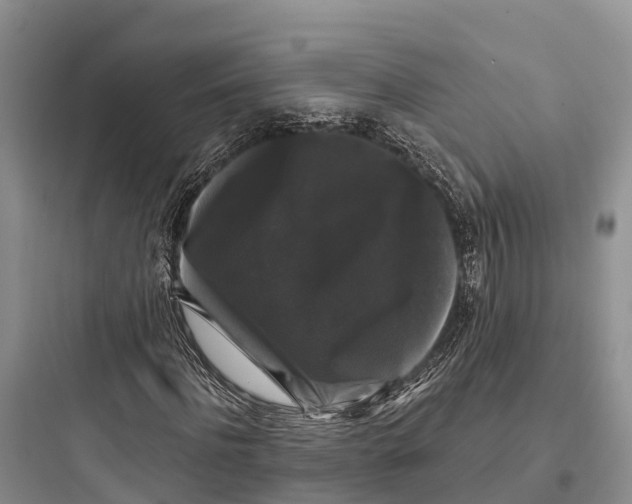 X0000097590916200803211633