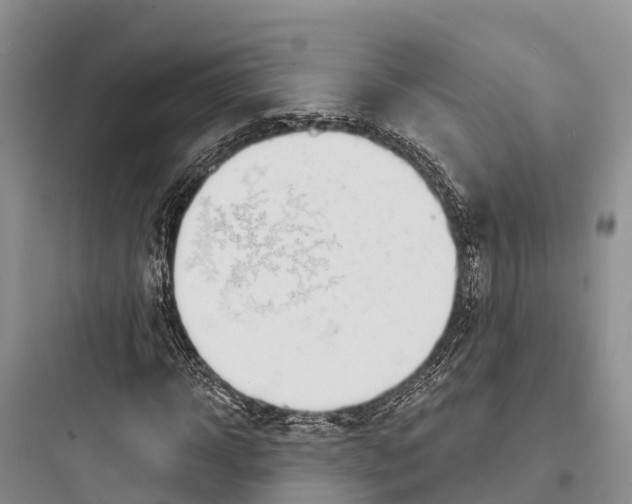 X0000097590918200803211633