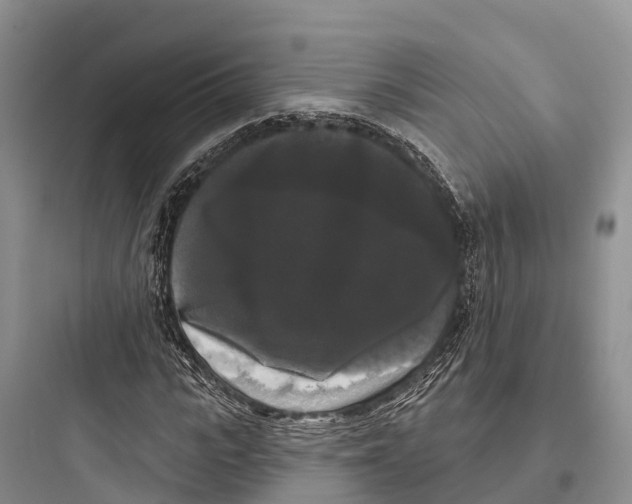 X0000097590919200803211633