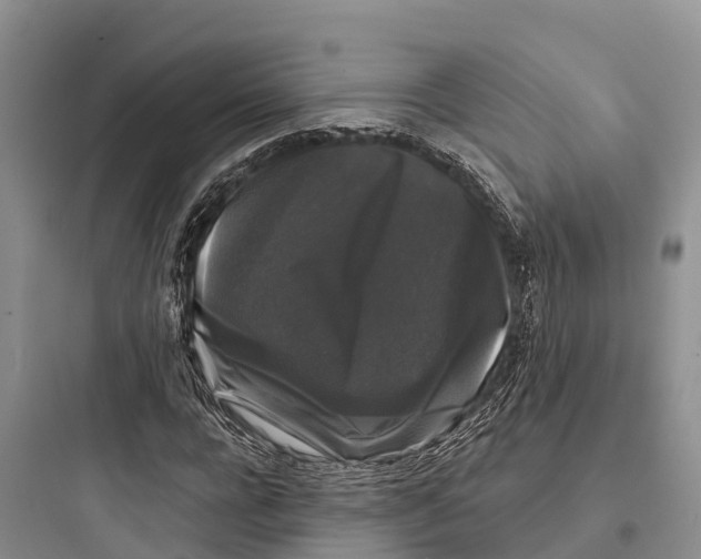 X0000097590920200803211633