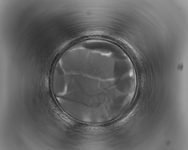 X0000097590921200803211633