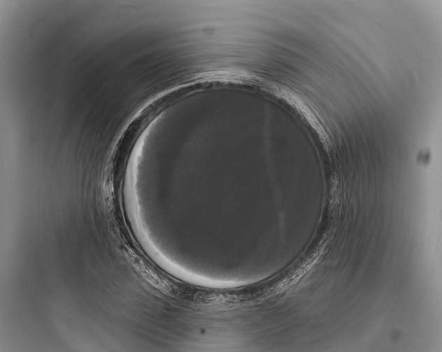 X0000097590923200803211633