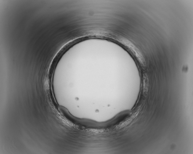 X0000097590924200803211633