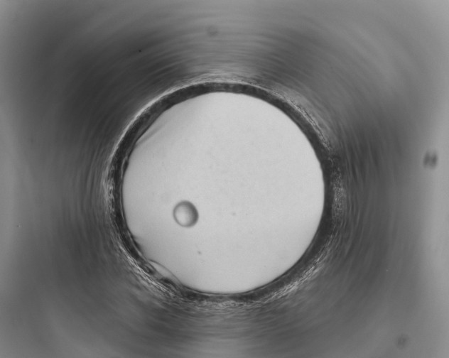 X0000097590926200803211633