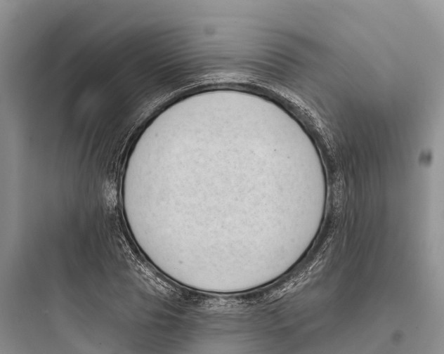 X0000097590929200803211633