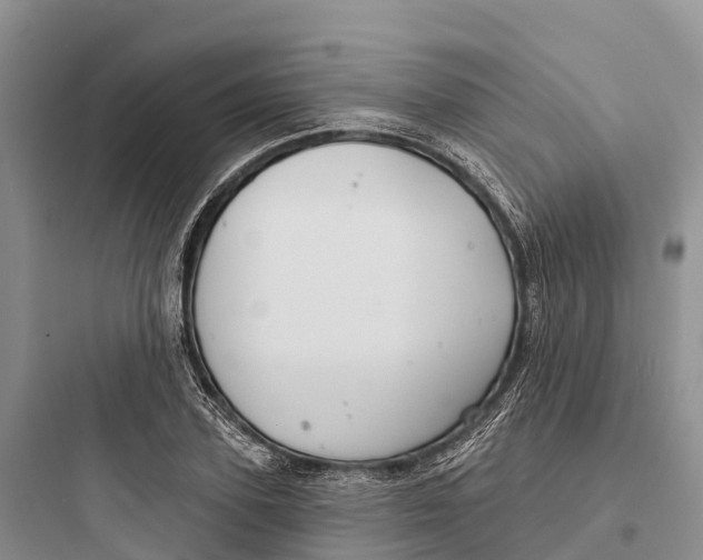 X0000097590931200803211633