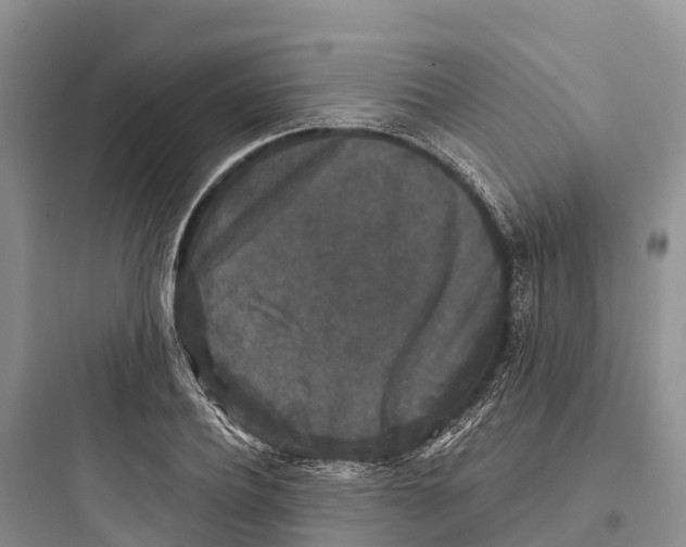 X0000097590932200803211633