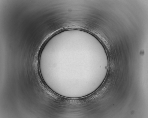 X0000097590933200803211633