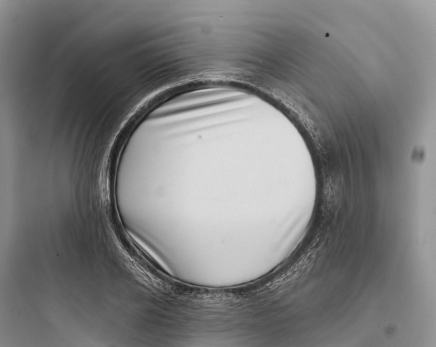 X0000097590934200803211633