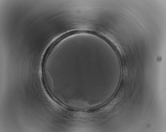 X0000097590935200803211633