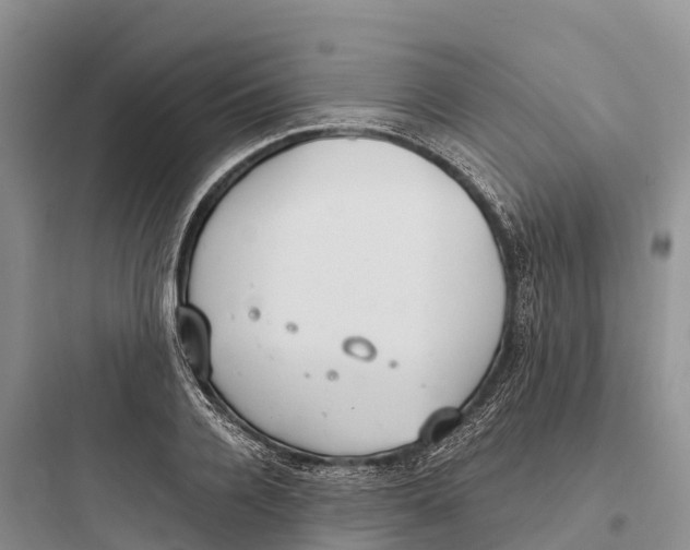 X0000097590936200803211633