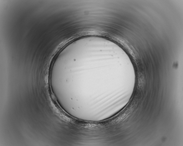 X0000097590938200803211633