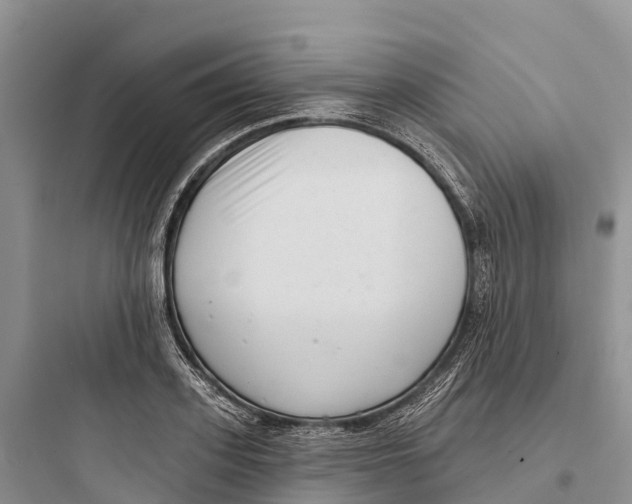 X0000097590939200803211633