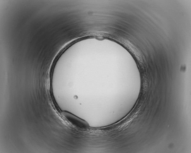 X0000097590940200803211633