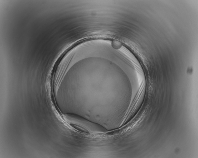 X0000097590941200803211633