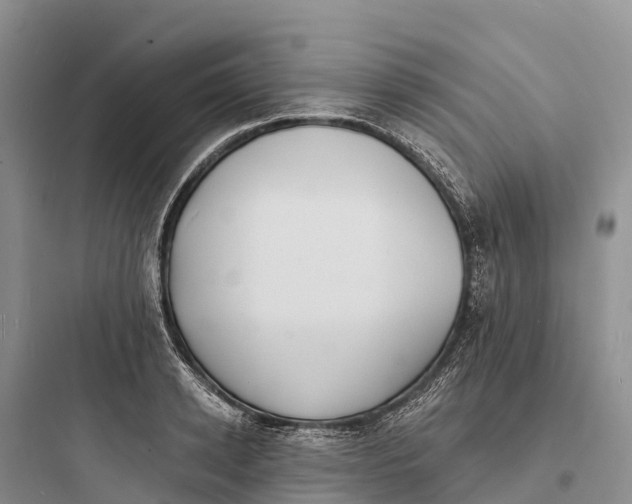 X0000097590942200803211633