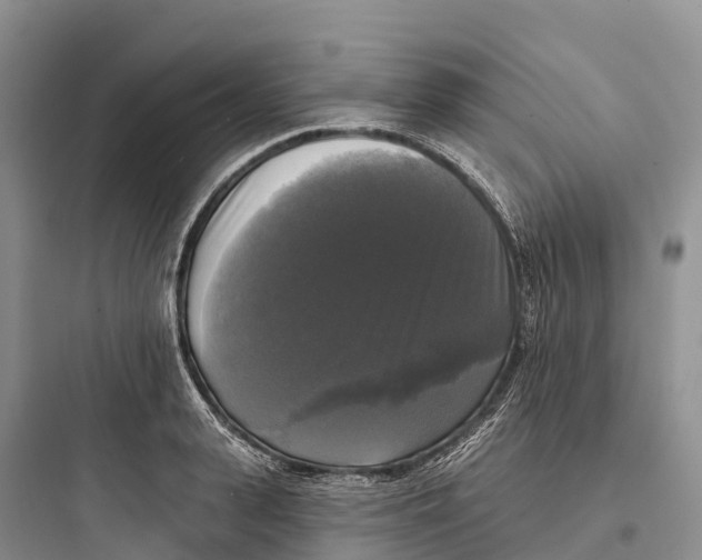 X0000097590943200803211633