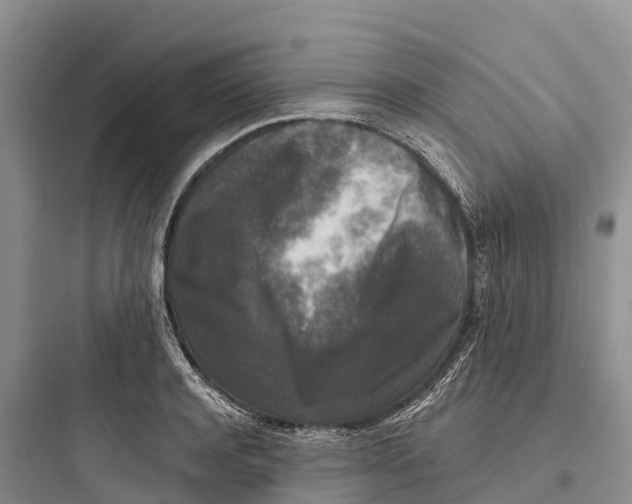 X0000097590944200803211633