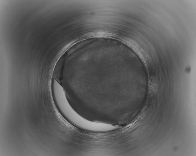 X0000097590946200803211633