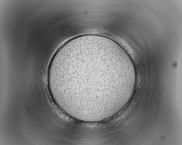 X0000097590948200803211633