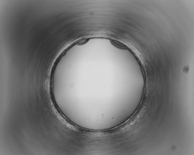 X0000097590949200803211633