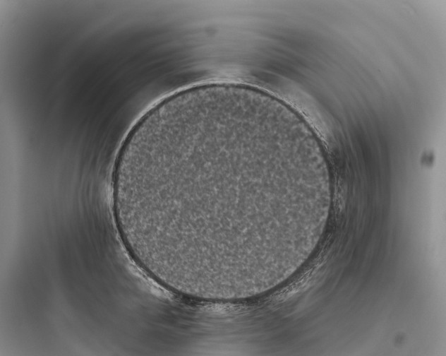 X0000097590950200803211633