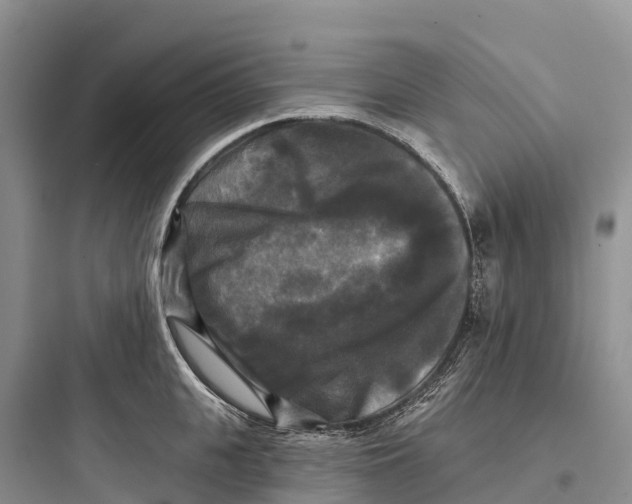 X0000097590951200803211633