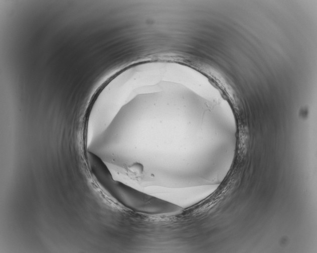 X0000097590952200803211633