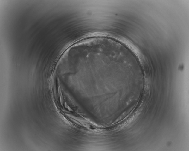 X0000097590953200803211633