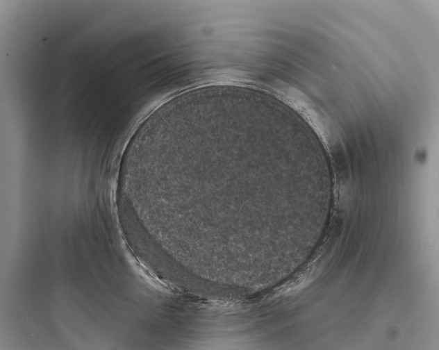 X0000097590954200803211633