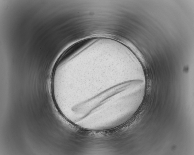 X0000097590955200803211633