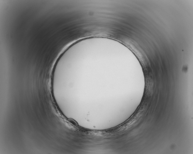 X0000097590956200803211633