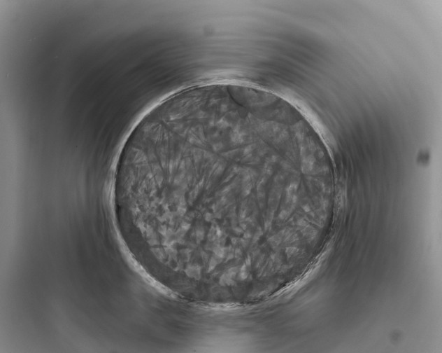 X0000097590957200803211633