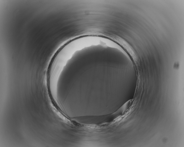 X0000097590958200803211633