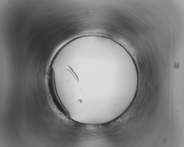 X0000097590960200803211633