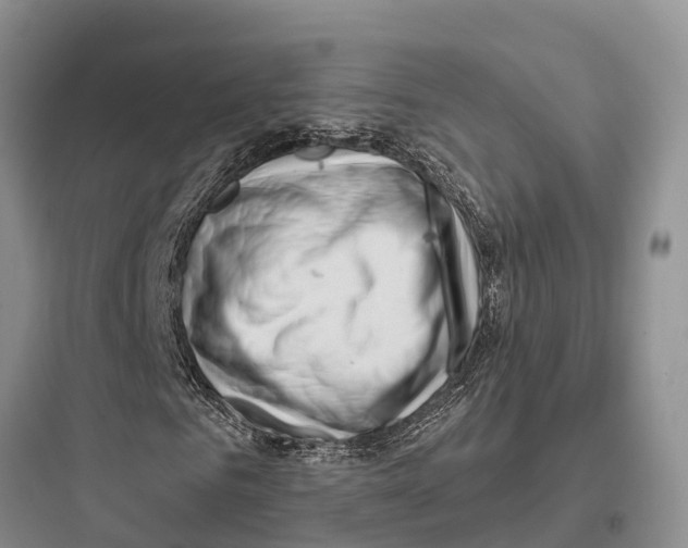 X0000097590961200803211633