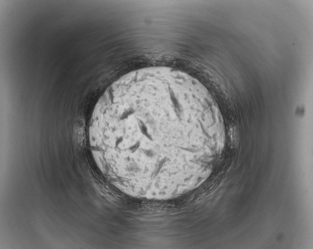 X0000097590963200803211632