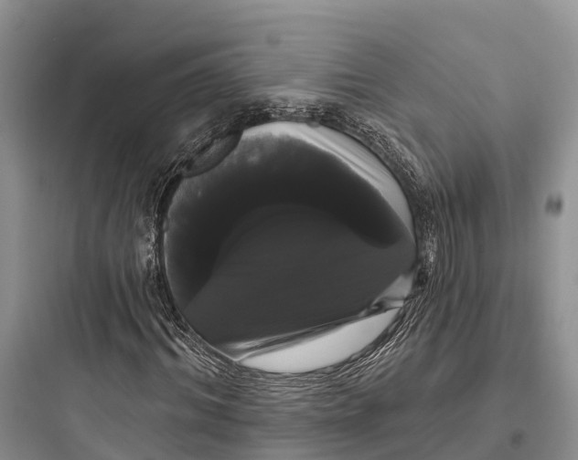 X0000097590964200803211632