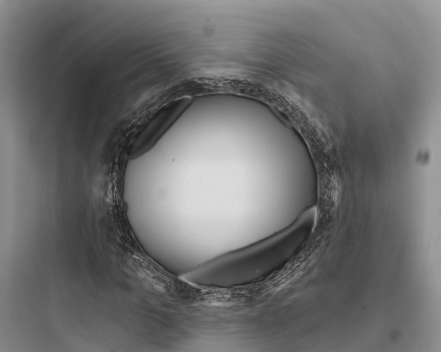 X0000097590965200803211632