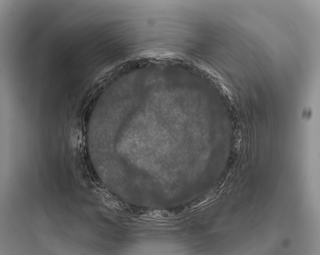 X0000097590966200803211632