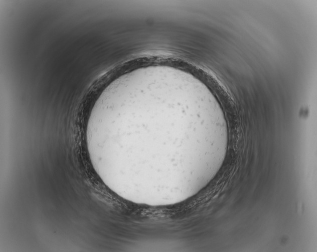 X0000097590967200803211632