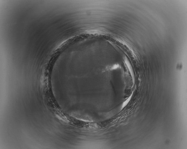 X0000097590968200803211632