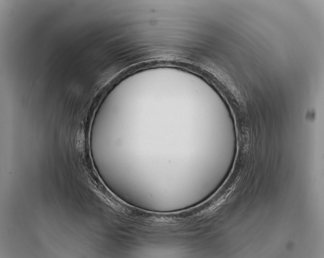 X0000097590969200803211632